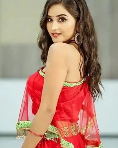 Call Girls Service Halvad